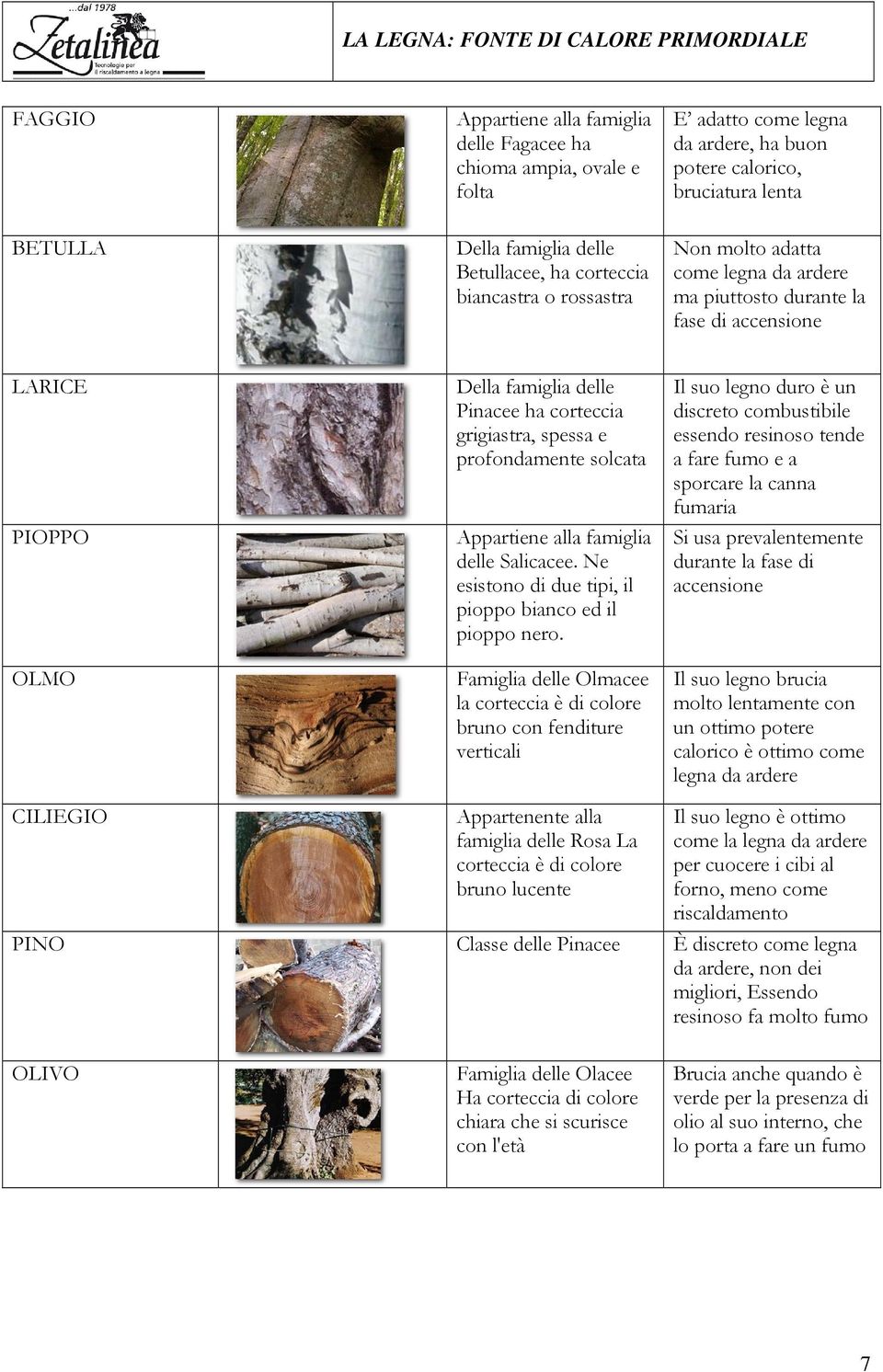 delle Salicacee. Ne esistono di due tipi, il pioppo bianco ed il pioppo nero.