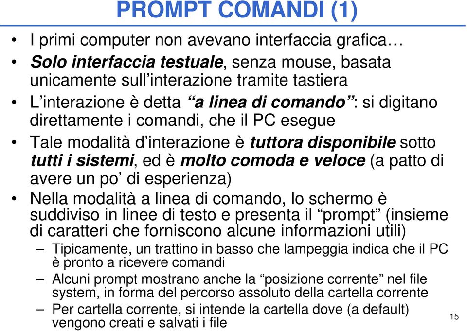 esperienza) Nella modalità a linea di comando, lo schermo è suddiviso in linee di testo e presenta il prompt (insieme di caratteri che forniscono alcune informazioni utili) Tipicamente, un trattino