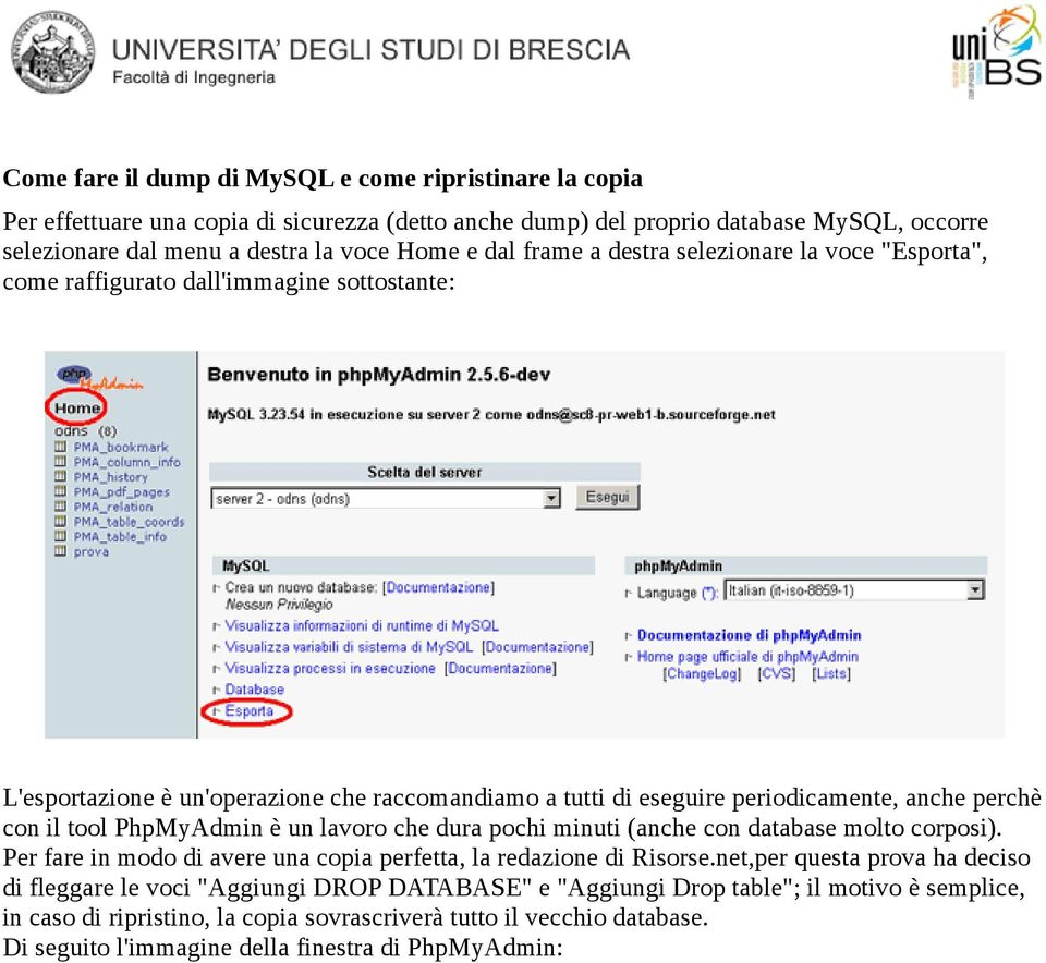 tool PhpMyAdmin è un lavoro che dura pochi minuti (anche con database molto corposi). Per fare in modo di avere una copia perfetta, la redazione di Risorse.