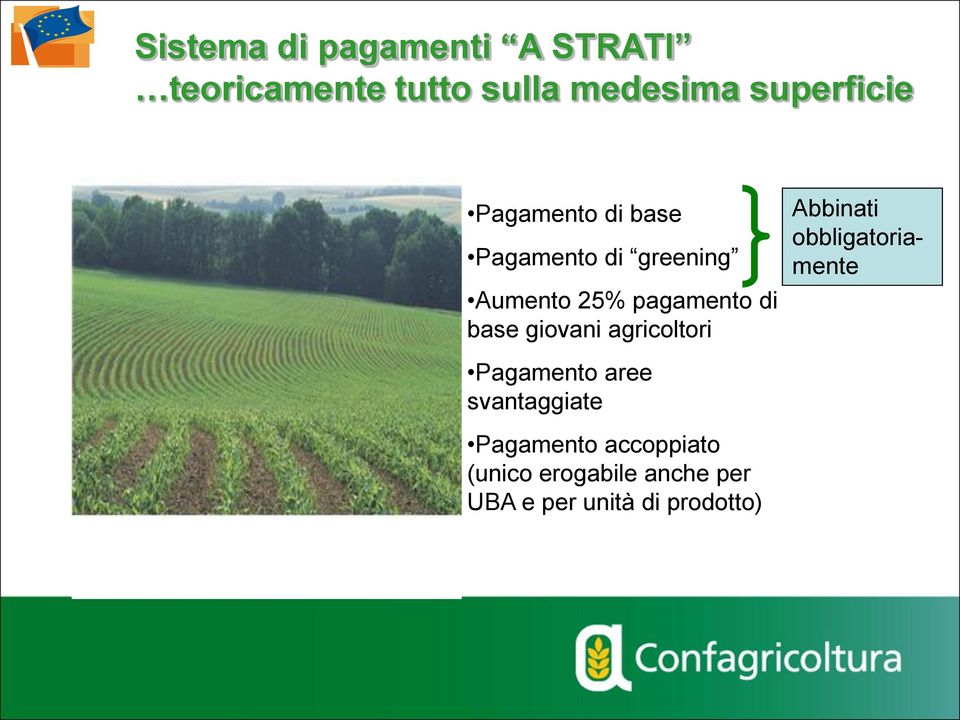 di base giovani agricoltori Pagamento aree svantaggiate Pagamento