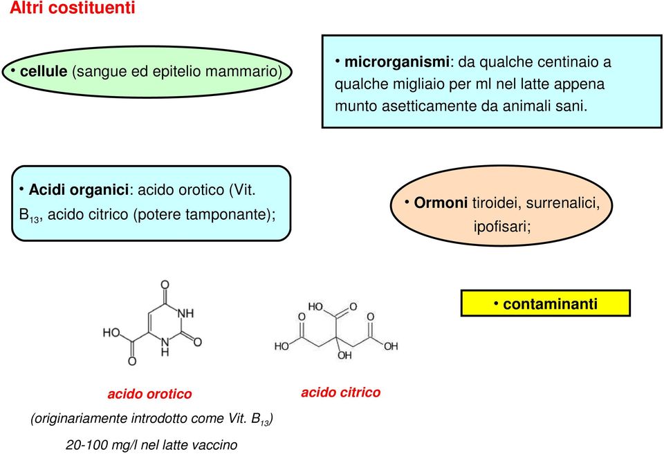 Acidi organici: acido orotico (Vit.