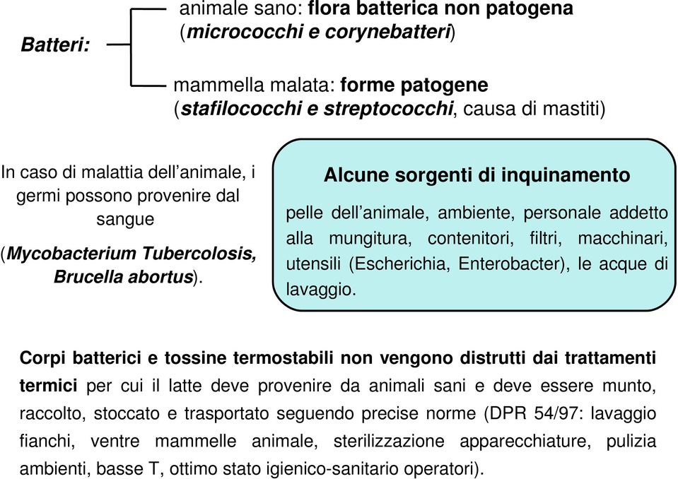 Alcune sorgenti di inquinamento pelle dell animale, ambiente, personale addetto alla mungitura, contenitori, filtri, macchinari, utensili (Escherichia, Enterobacter), le acque di lavaggio.