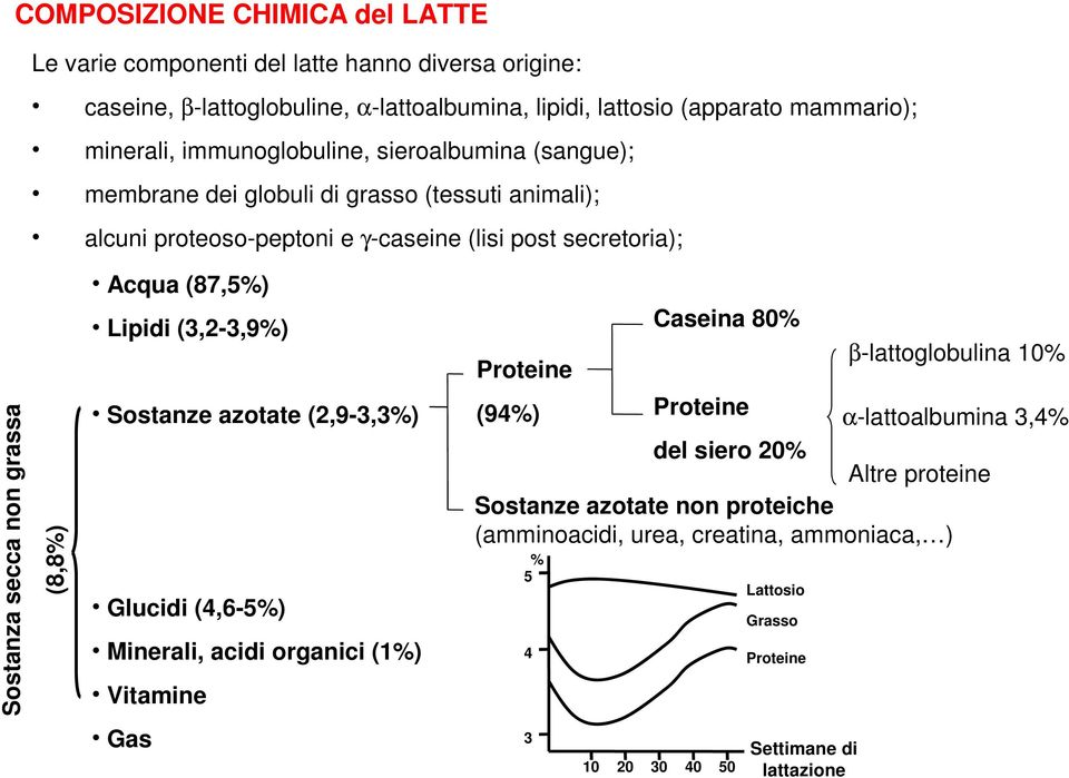 Proteine Caseina 80% β-lattoglobulina 10% Sostanza secca non grassa (8,8%) Sostanze azotate (2,9-3,3%) Glucidi (4,6-5%) Minerali, acidi organici (1%) Vitamine (94%) Proteine