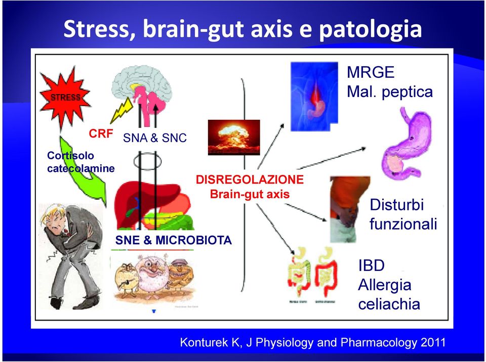 & MICROBIOTA DISREGOLAZIONE Brain-gut axis ll