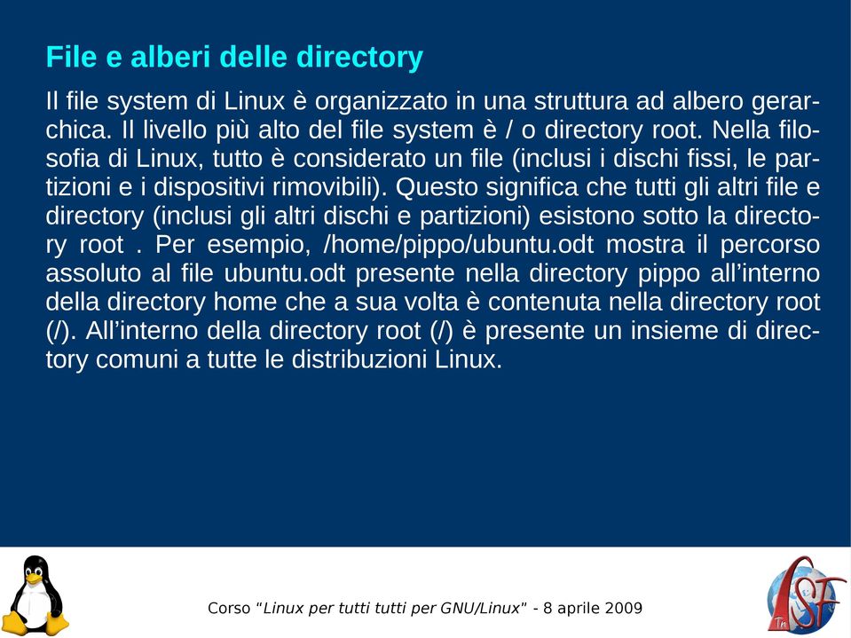 Questo significa che tutti gli altri file e directory (inclusi gli altri dischi e partizioni) esistono sotto la directory root. Per esempio, /home/pippo/ubuntu.