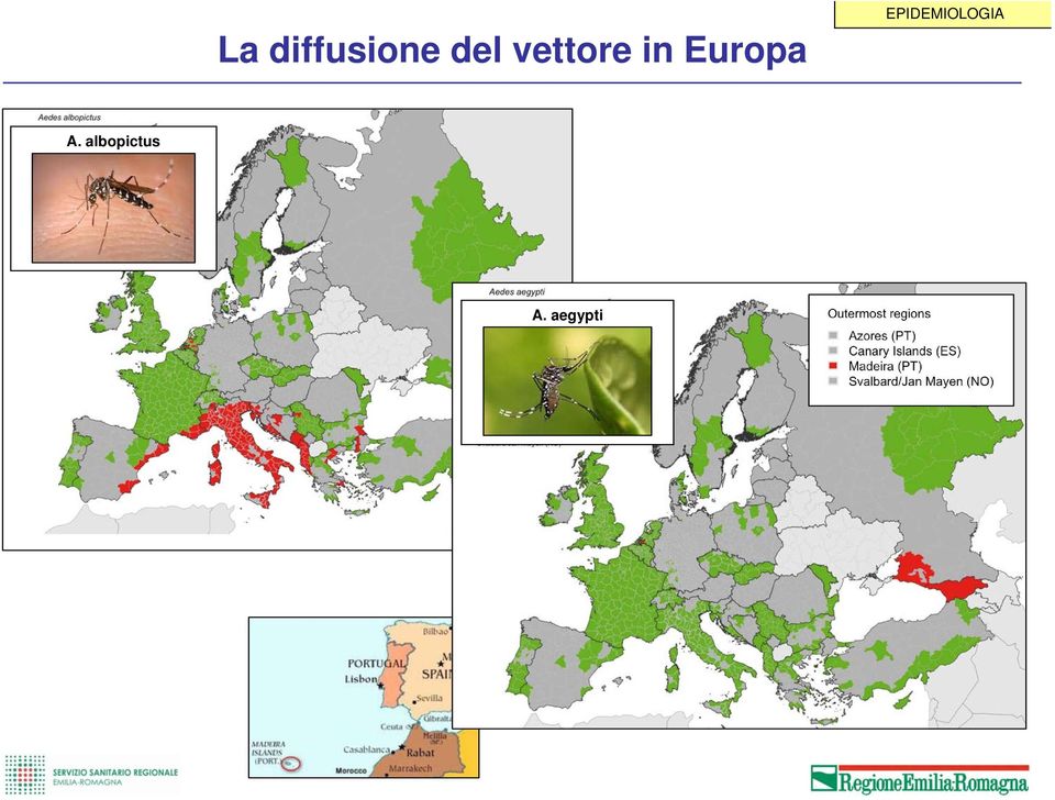 EPIDEMIOLOGIA A.