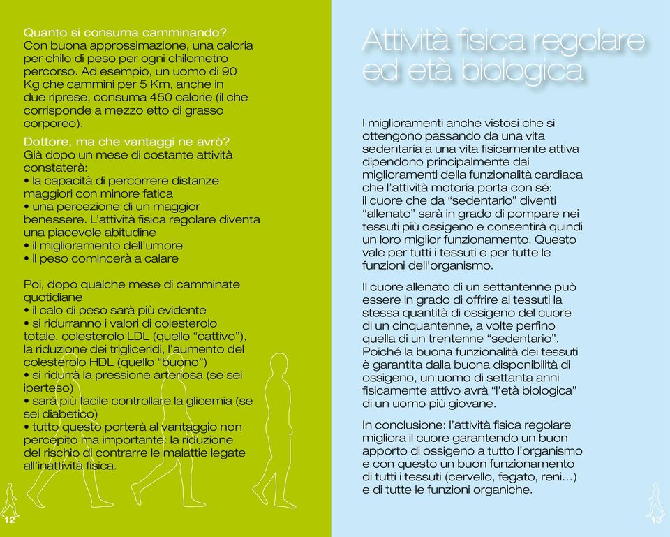 Già dopo un mese di costante attività constaterà: la capacità di percorrere distanze maggiori con minore fatica una percezione di un maggior benessere.