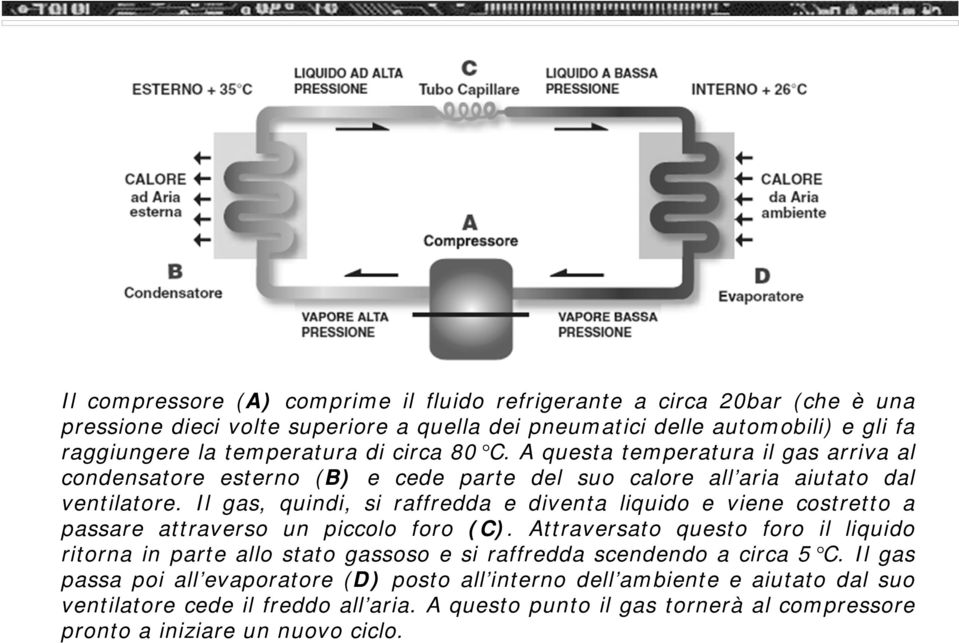 Il gas, quindi, si raffredda e diventa liquido e viene costretto a passare attraverso un piccolo foro (C).