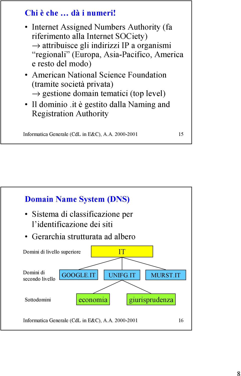 American National Science Foundation (tramite società privata) gestione domain tematici (top level) Il dominio.