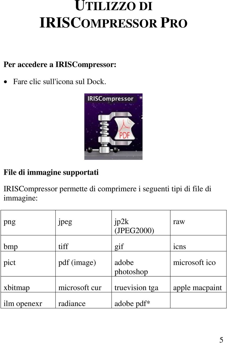 immagine: png jpeg jp2k (JPEG2000) raw bmp tiff gif icns pict pdf (image) adobe photoshop