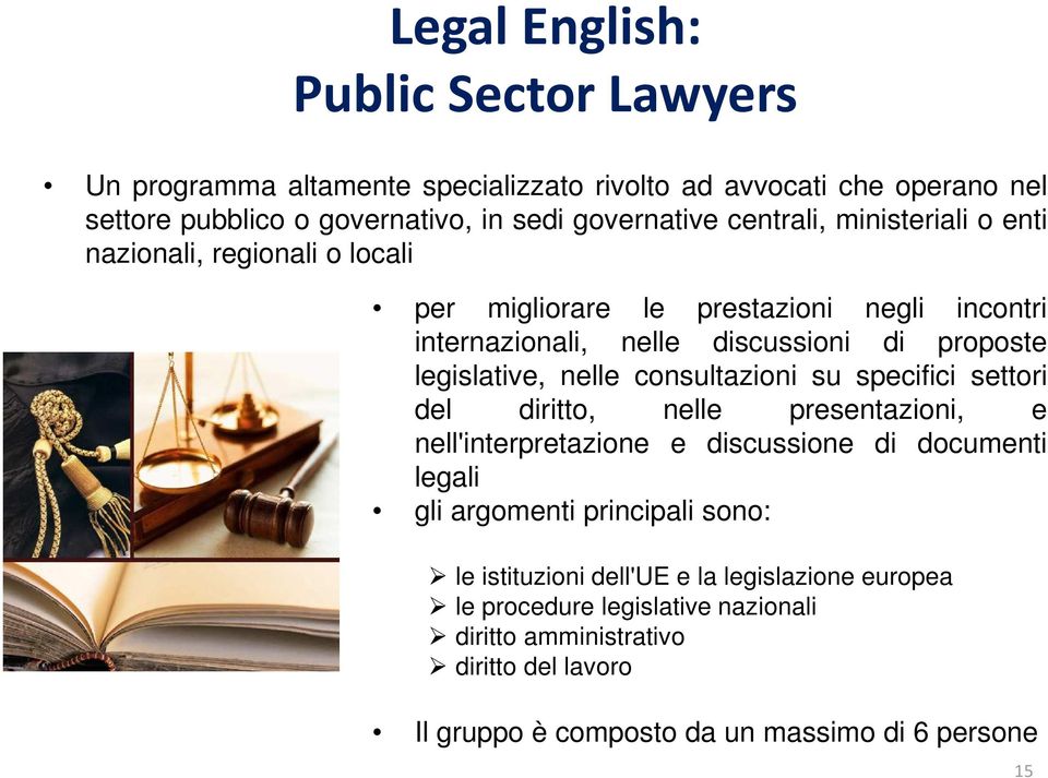 nelle consultazioni su specifici settori del diritto, nelle presentazioni, e nell'interpretazione e discussione di documenti legali gli argomenti principali sono: le