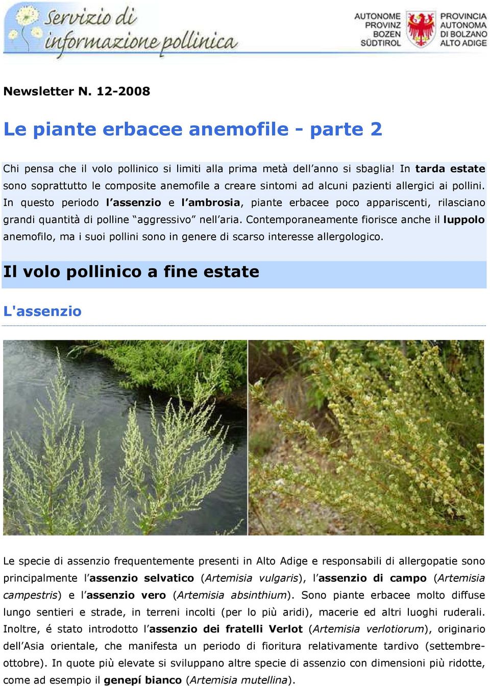 In questo periodo l assenzio e l ambrosia, piante erbacee poco appariscenti, rilasciano grandi quantità di polline aggressivo nell aria.