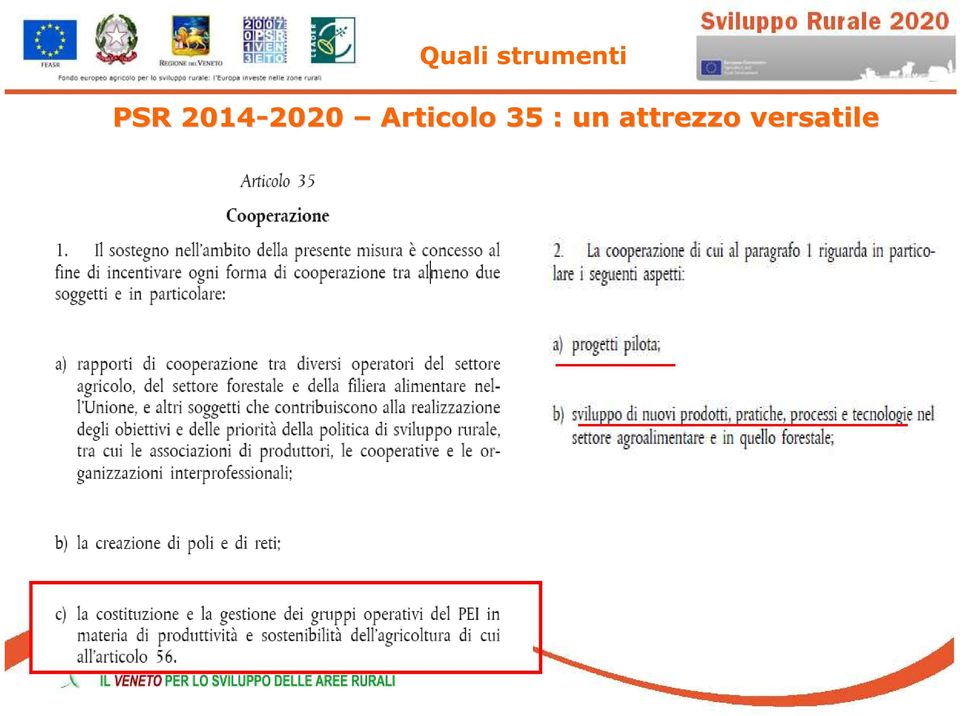 2020 Articolo 35