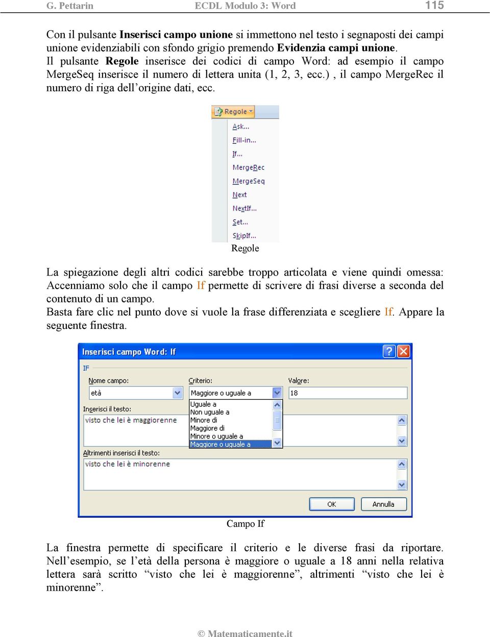 Regole La spiegazione degli altri codici sarebbe troppo articolata e viene quindi omessa: Accenniamo solo che il campo If permette di scrivere di frasi diverse a seconda del contenuto di un campo.