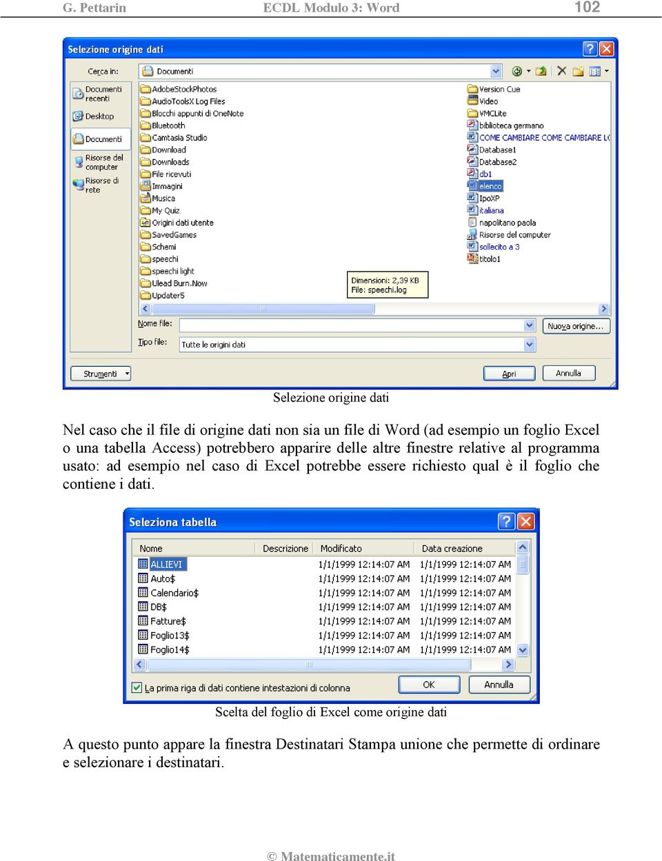 esempio nel caso di Excel potrebbe essere richiesto qual è il foglio che contiene i dati.