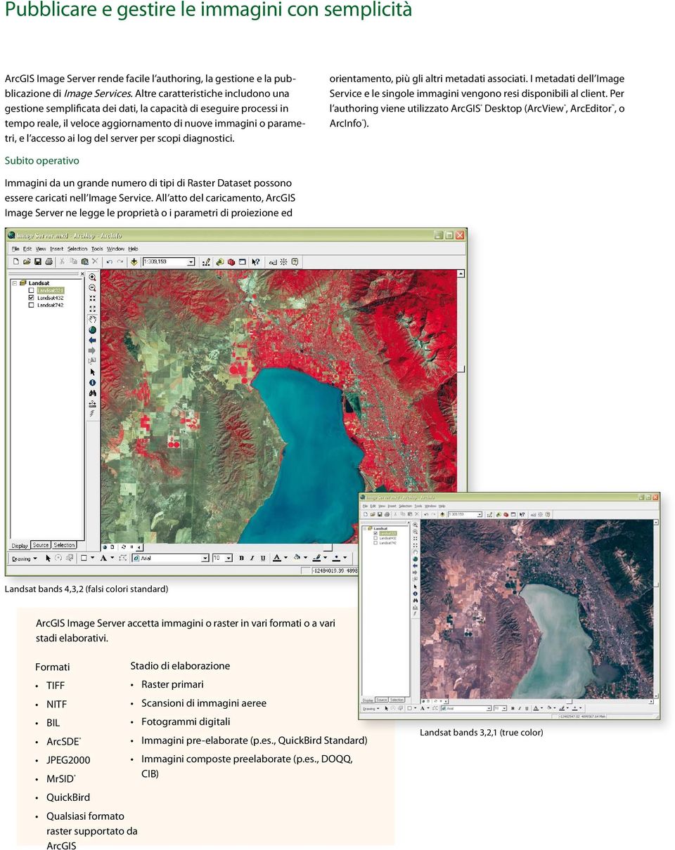 server per scopi diagnostici. orientamento, più gli altri metadati associati. I metadati dell Image Service e le singole immagini vengono resi disponibili al client.