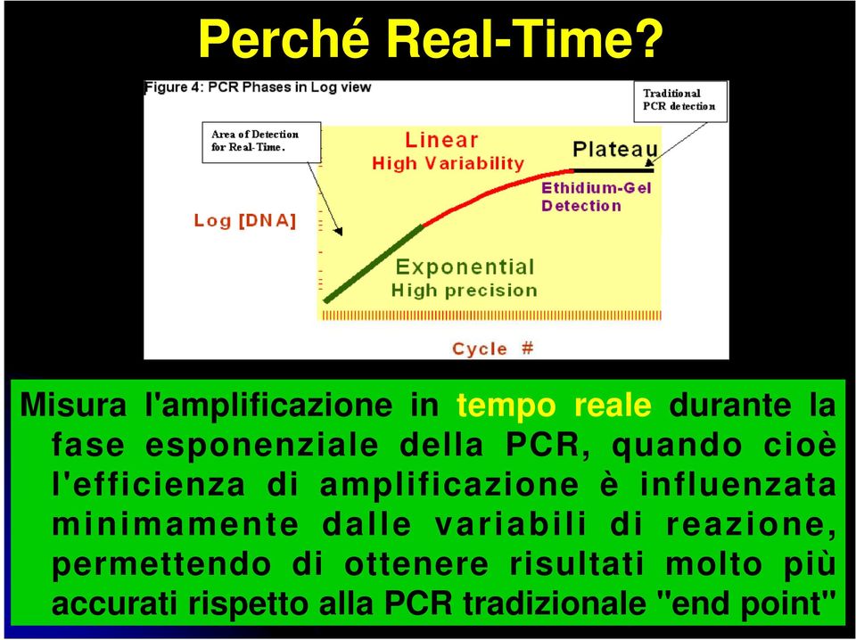 della PCR, quando cioè l'efficienza di amplificazione è influenzata