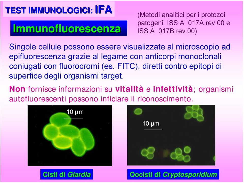 coniugati con fluorocromi (es. FITC), diretti contro epitopi di superfice degli organismi target.