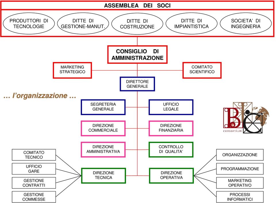 SCIENTIFICO DIRETTORE GENERALE l organizzazione SEGRETERIA GENERALE UFFICIO LEGALE DIREZIONE COMMERCIALE DIREZIONE FINANZIARIA COMITATO