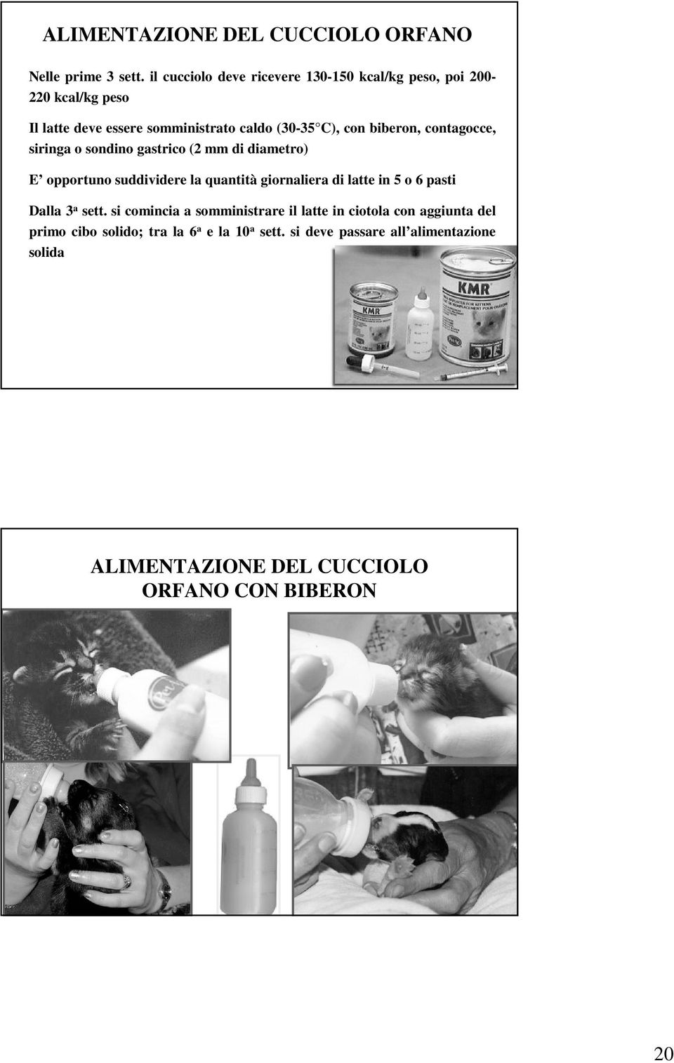 biberon, contagocce, siringa o sondino gastrico (2 mm di diametro) E opportuno suddividere la quantità giornaliera di latte in 5 o 6