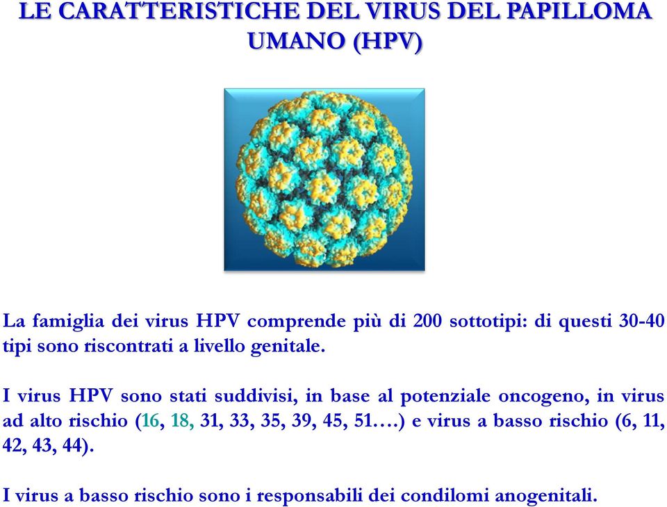 I virus HPV sono stati suddivisi, in base al potenziale oncogeno, in virus ad alto rischio (16, 18,