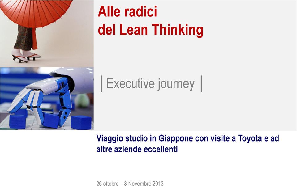 Giappone con visite a Toyota e ad