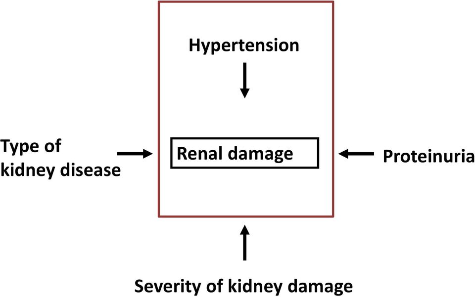 damage Proteinuria