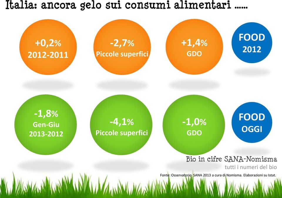 2013-2012 -4,1% Piccole superfici -1,0% GDO FOOD OGGI Fonte: