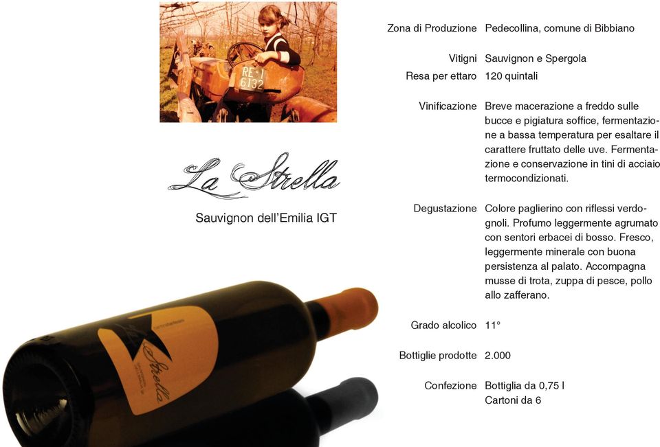 Sauvignon dell Emilia IGT Colore paglierino con riflessi verdognoli. Profumo leggermente agrumato con sentori erbacei di bosso.