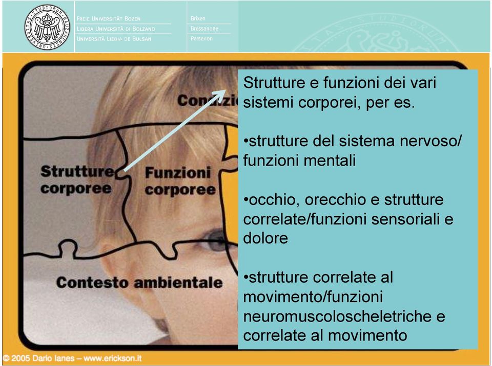 e strutture correlate/funzioni sensoriali e dolore strutture