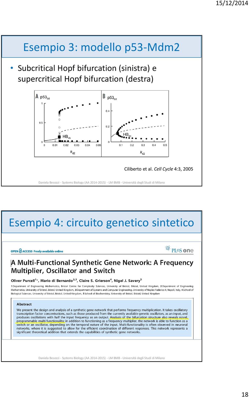 bifurcation (destra) Ciliberto et al.