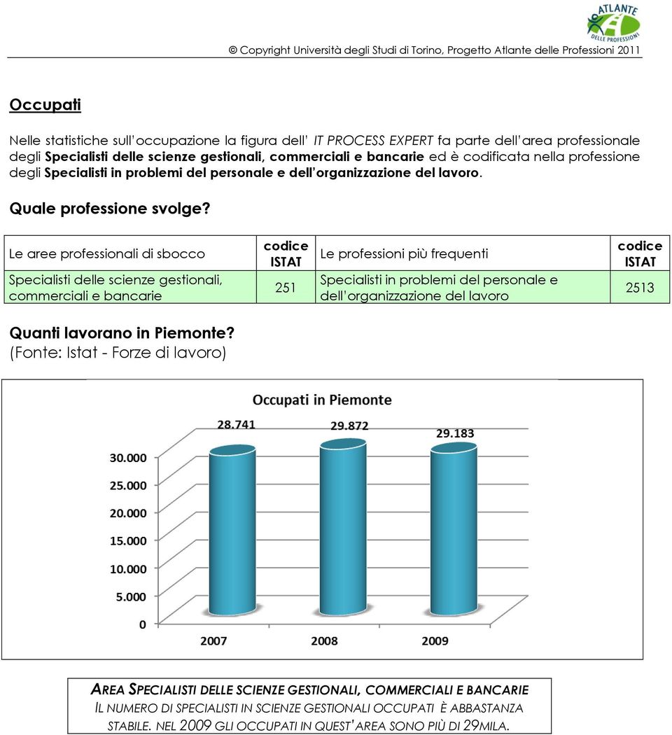 Le aree professionali di sbocco Specialisti delle scienze gestionali, commerciali e bancarie codice ISTAT 251 Le professioni più frequenti Specialisti in problemi del personale e dell organizzazione