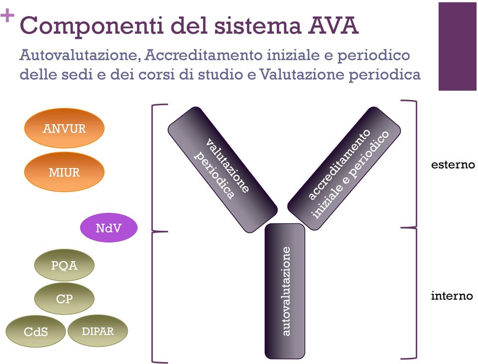 periodico delle sedi e dei corsi di studio e