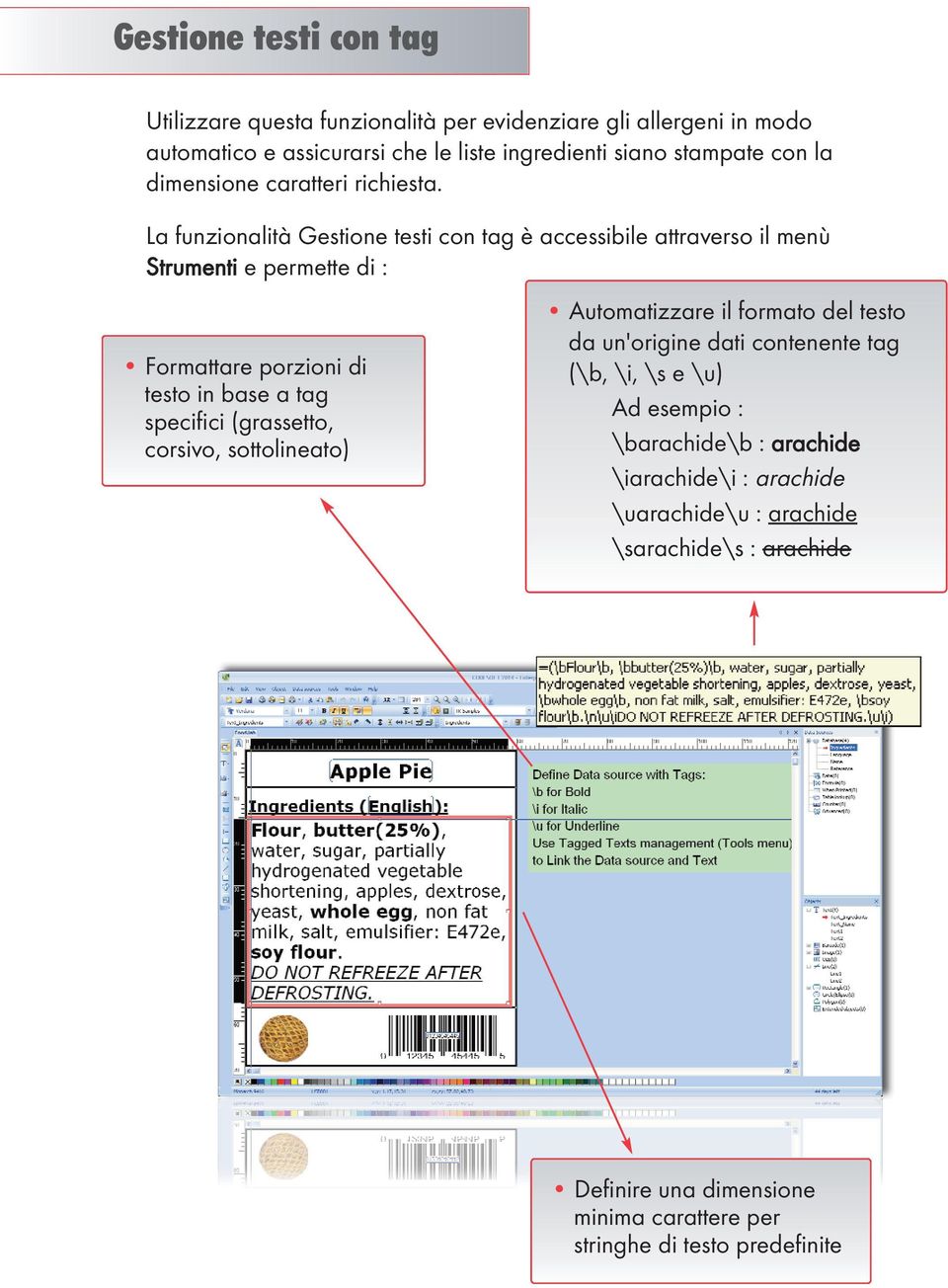 La funzionalità Gestione testi con tag è accessibile attraverso il menù Strumenti e permette di : Formattare porzioni di testo in base a tag specifici (grassetto,