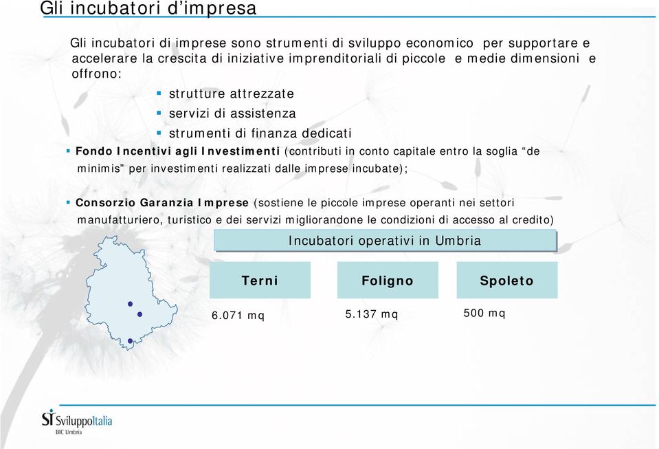 capitale entro la soglia de minimis per investimenti realizzati dalle imprese incubate); Consorzio Garanzia Imprese (sostiene le piccole imprese operanti nei settori