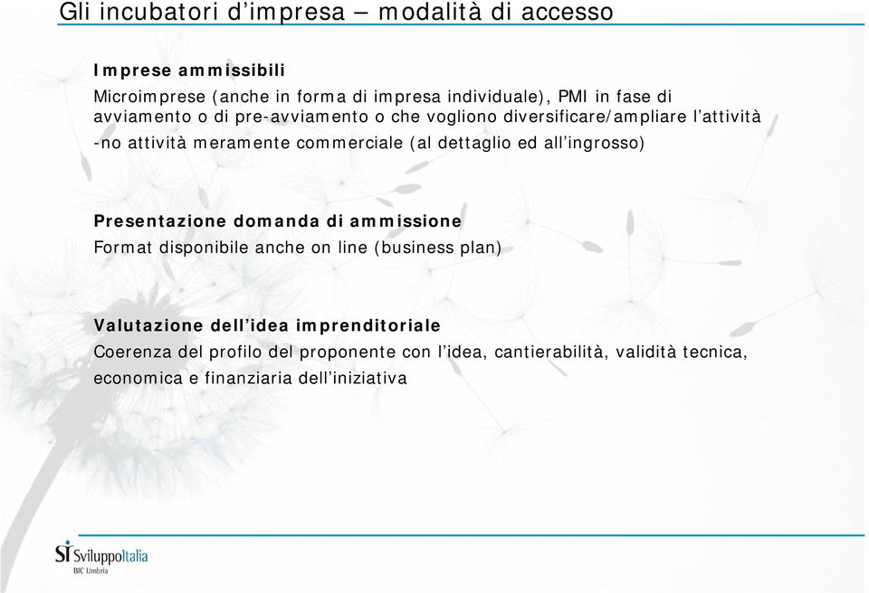 dettaglio ed all ingrosso) Presentazione domanda di ammissione Format disponibile anche on line (business plan) Valutazione dell