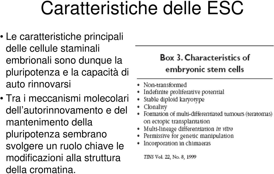 meccanismi molecolari dell autorinnovamento e del mantenimento della