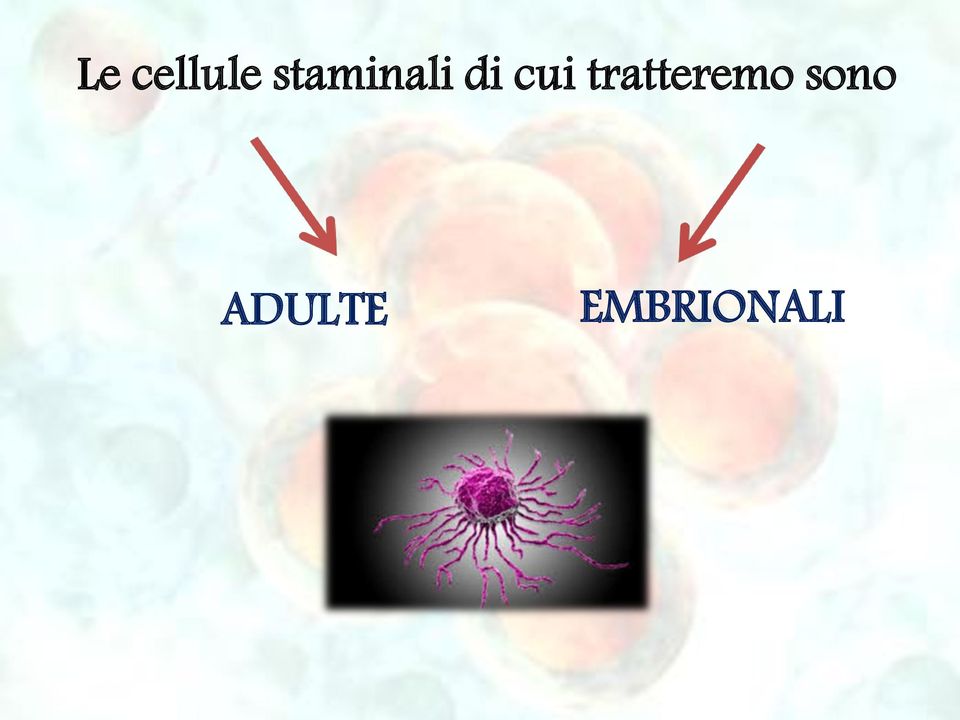 cui tratteremo