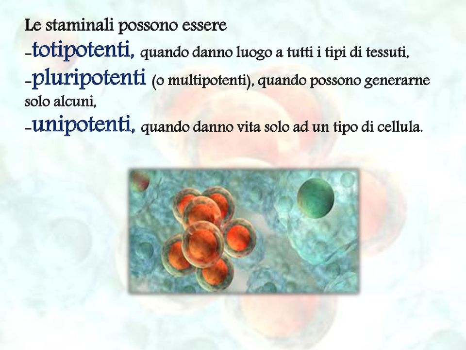 (o multipotenti), quando possono generarne solo