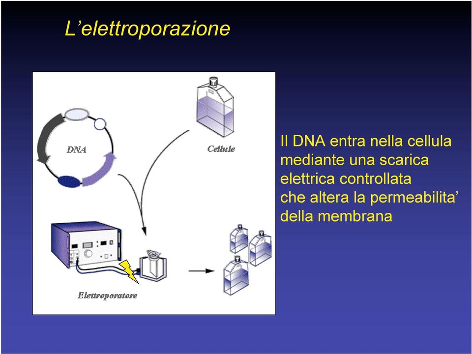 scarica elettrica controllata