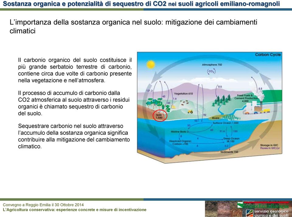 Il processo di accumulo di carbonio dalla CO2 atmosferica al suolo attraverso i residui organici è chiamato sequestro di carbonio del