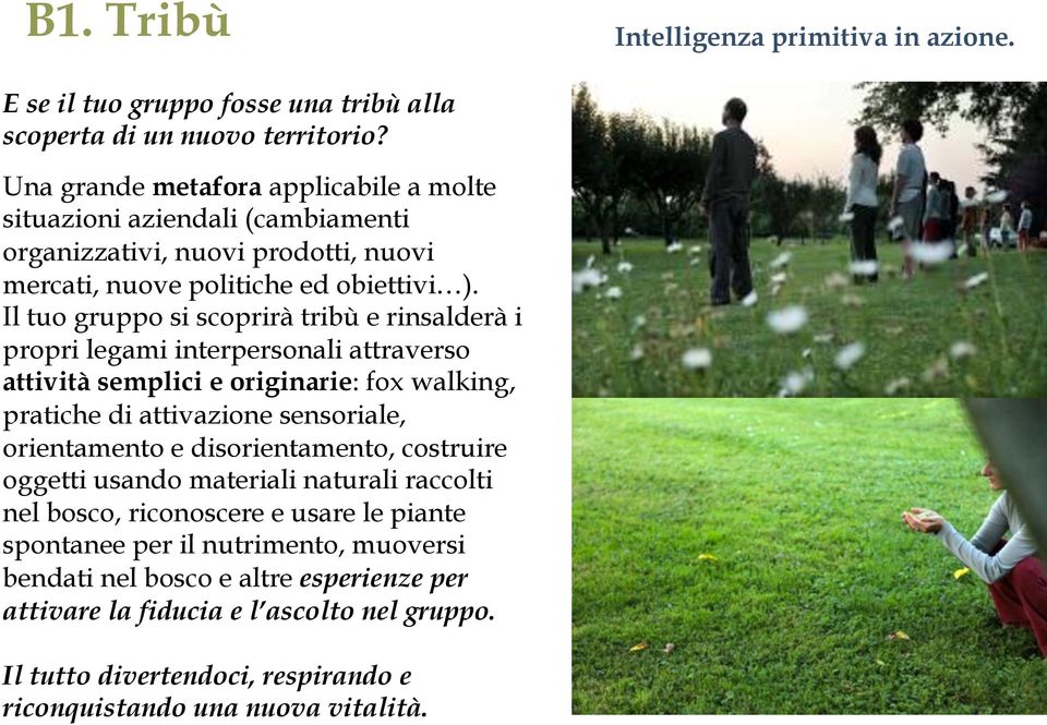 Il tuo gruppo si scoprirà tribù e rinsalderà i propri legami interpersonali attraverso attività semplici e originarie: fox walking, pratiche di attivazione sensoriale, orientamento e