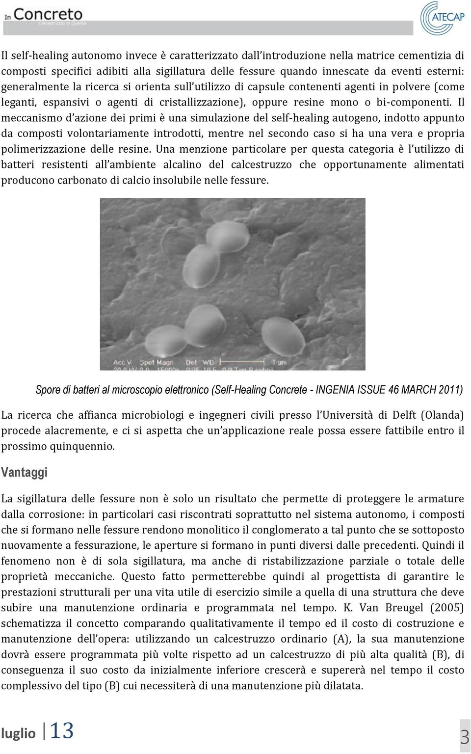 Il meccanismo d azione dei primi è una simulazione del self-healing autogeno, indotto appunto da composti volontariamente introdotti, mentre nel secondo caso si ha una vera e propria polimerizzazione