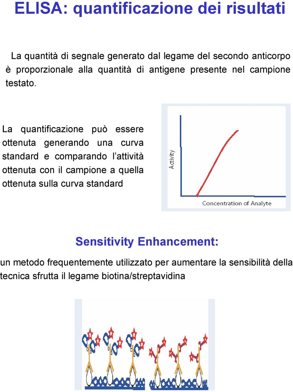 La quantificazione può essere ottenuta generando una curva standard e comparando l attività ottenuta con il campione a