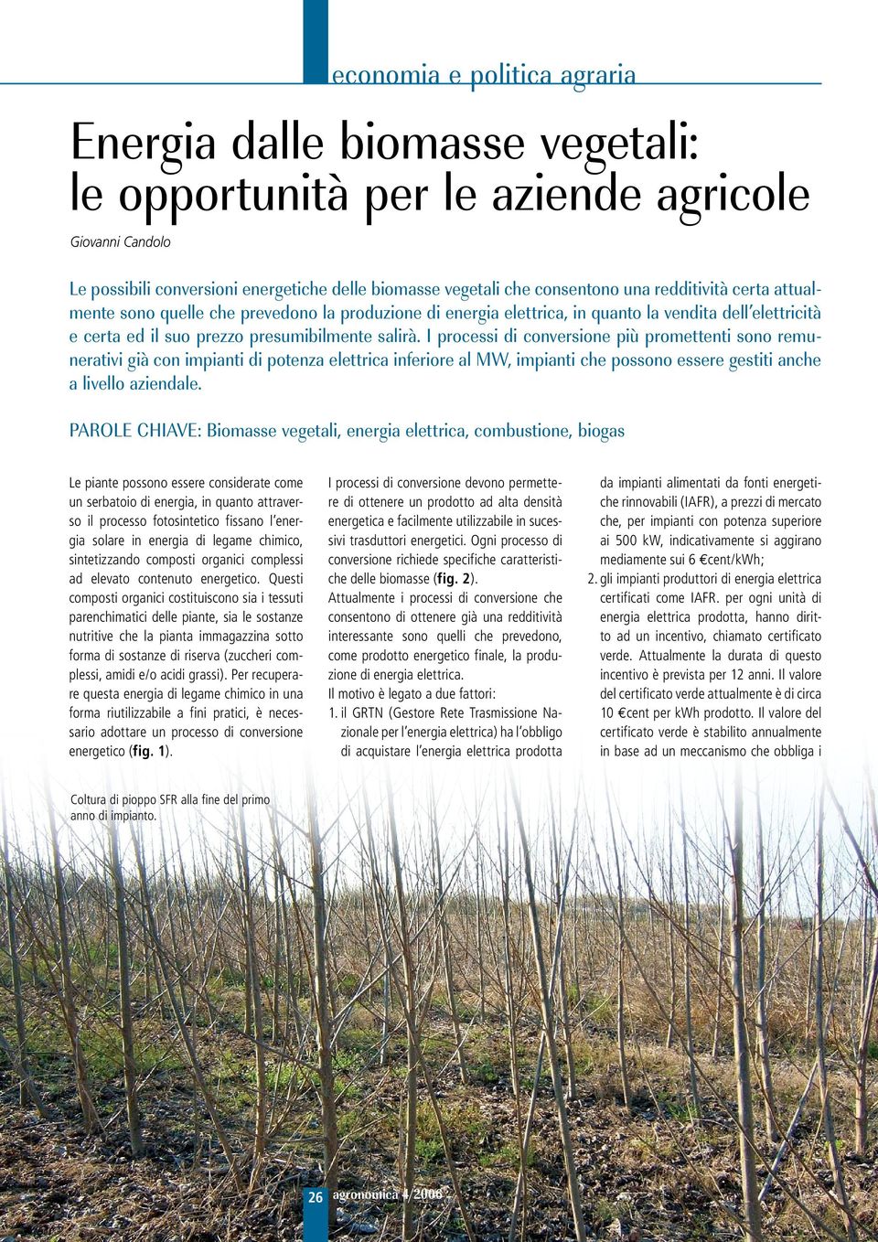 I processi di conversione più promettenti sono remunerativi già con impianti di potenza elettrica inferiore al MW, impianti che possono essere gestiti anche a livello aziendale.