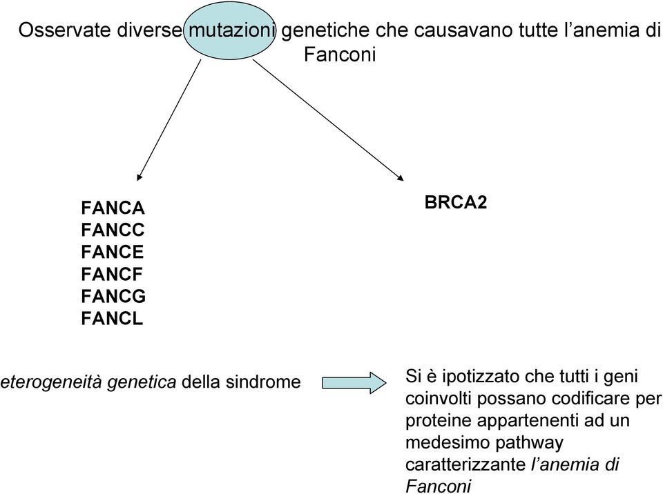 della sindrome Si è ipotizzato che tutti i geni coinvolti possano