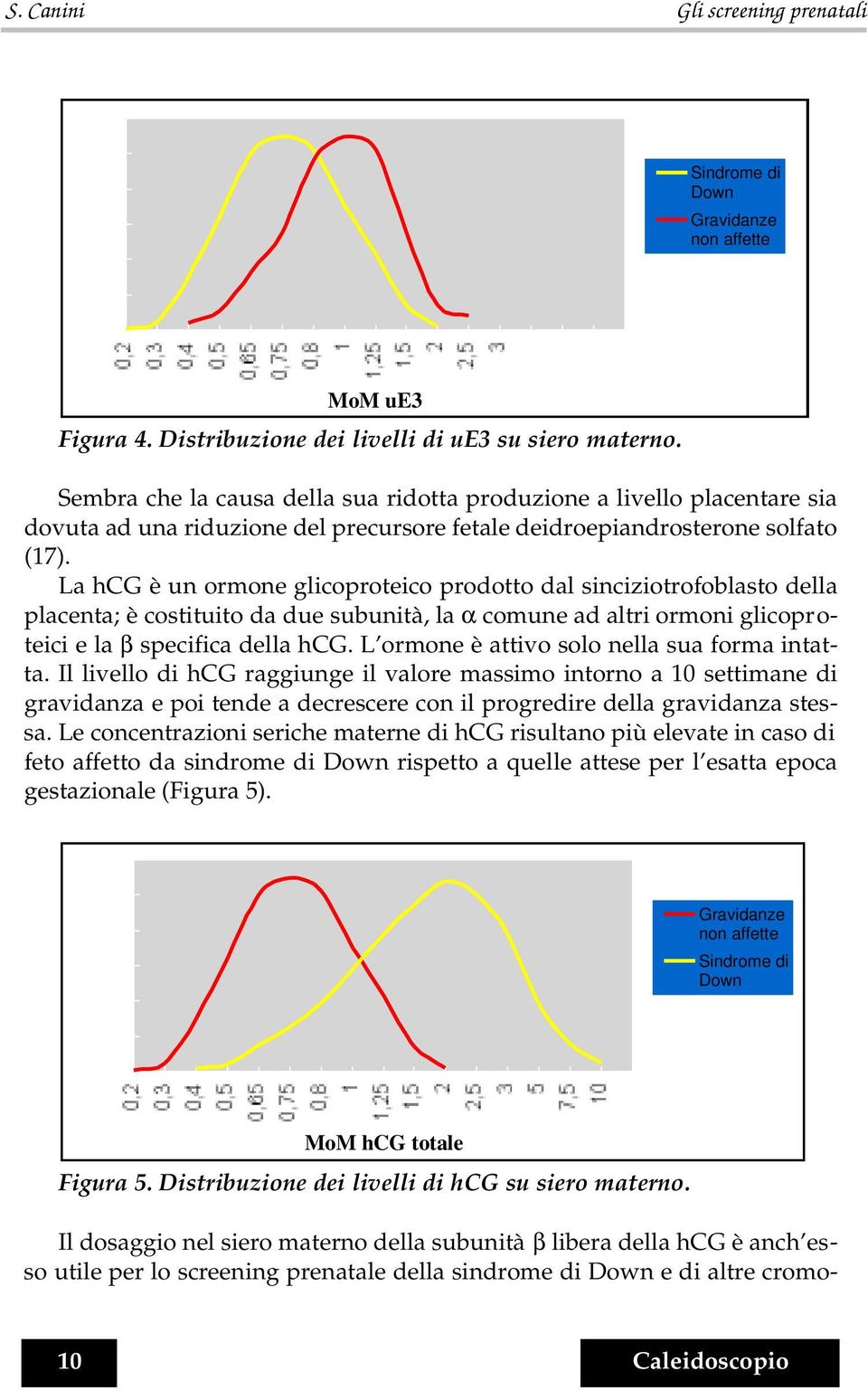 La hcg è un ormone glicoproteico prodotto dal sinciziotrofoblasto della placenta; è costituito da due subunità, la α comune ad altri ormoni glicoproteici e la β specifica della hcg.