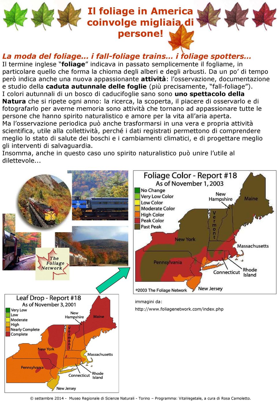 Da un po di tempo però indica anche una nuova appassionante attività: l osservazione, documentazione e studio della caduta autunnale delle foglie (più precisamente, fall-foliage ).