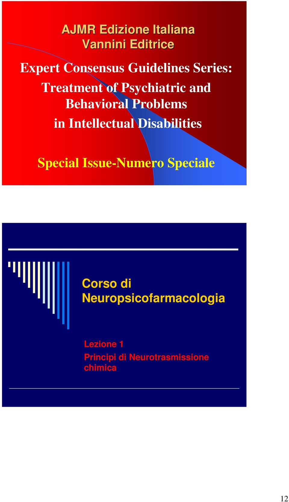 Problems in Intellectual Disabilities Special Issue-Numero