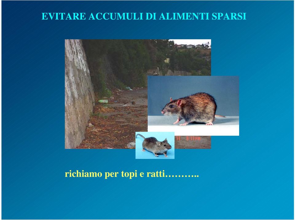 ALIMENTI SPARSI